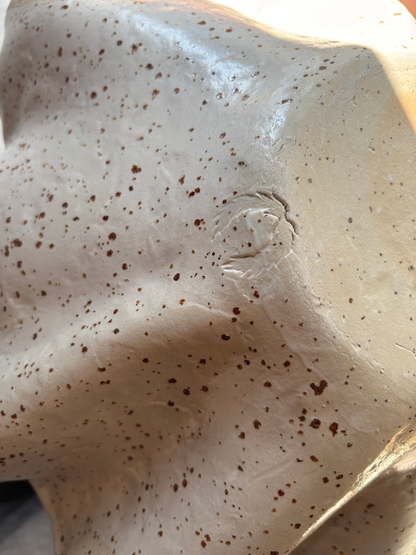 Ceramiczna Organiczna Misa XLSpeckled Rustic White