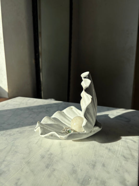 Muszla Skarbiec na Biżuterię Matte White